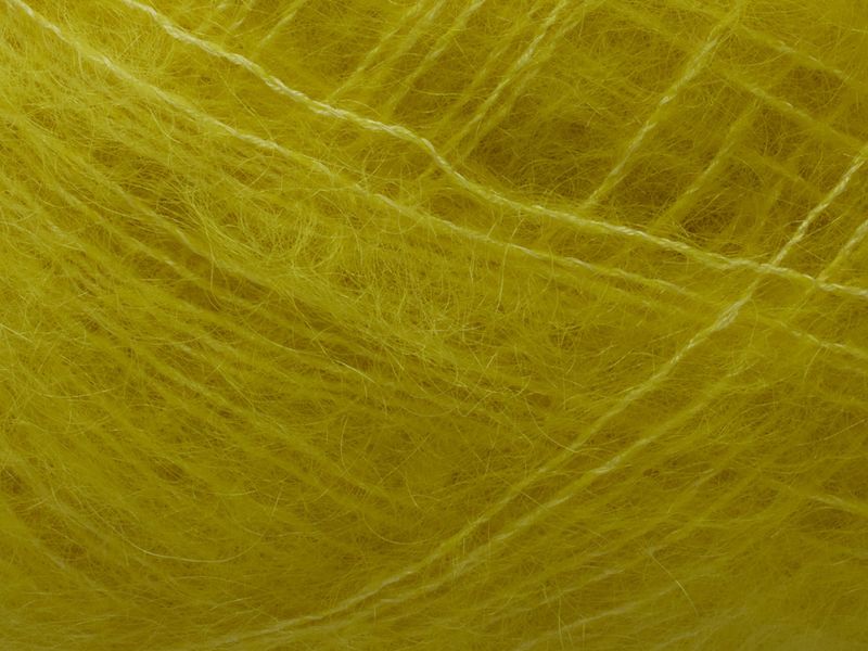 Tilia