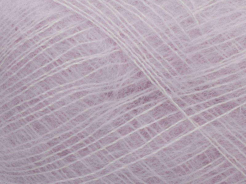 Tilia